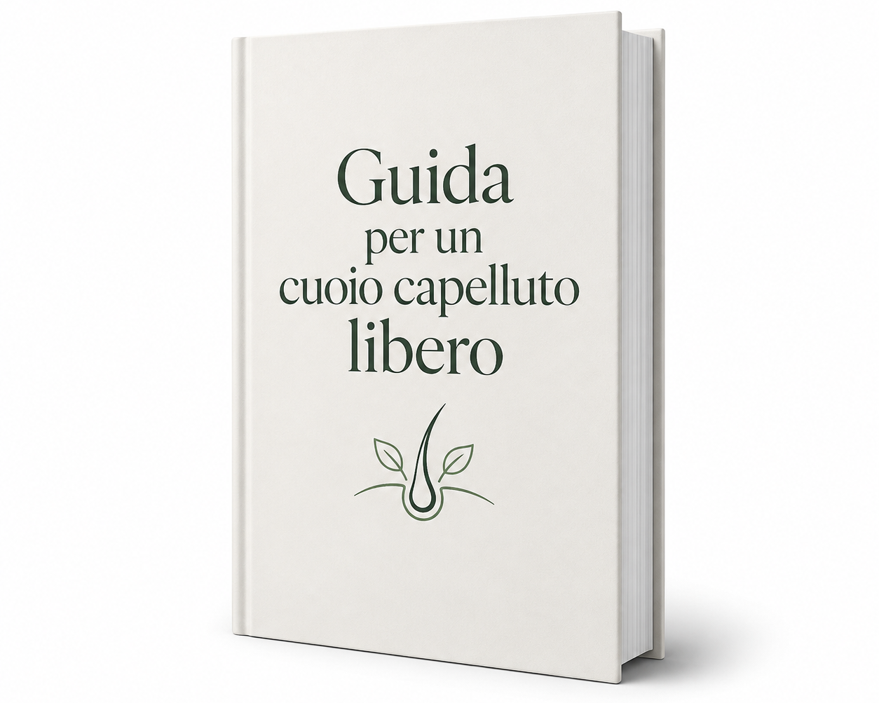 817EBDAD-5F31-4EC2-A7E5-677B515AEA21_adbe52b4-ba5b-4ee3-85b7-ab2621418ab9.png