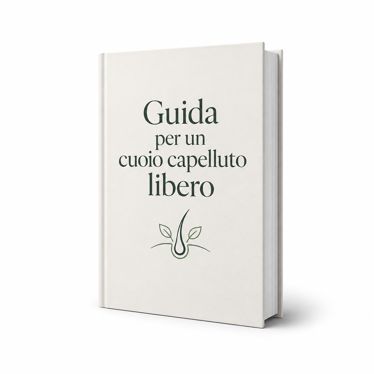 Guida per un cuoio capelluto libero