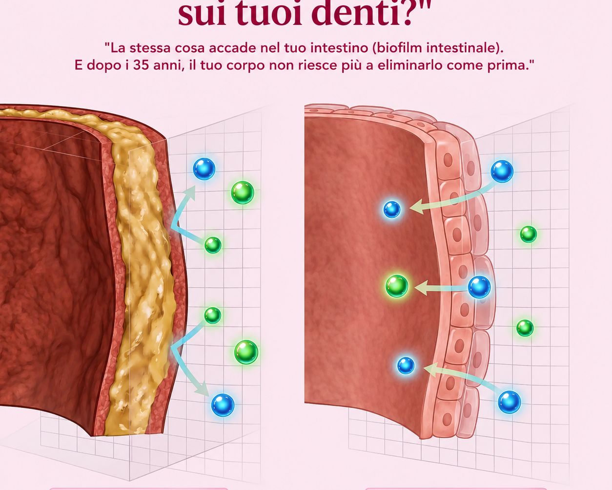 ChatGPTImage10lug2026_17_23_33.png