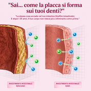 Reven labs - per il biofilm intestinale